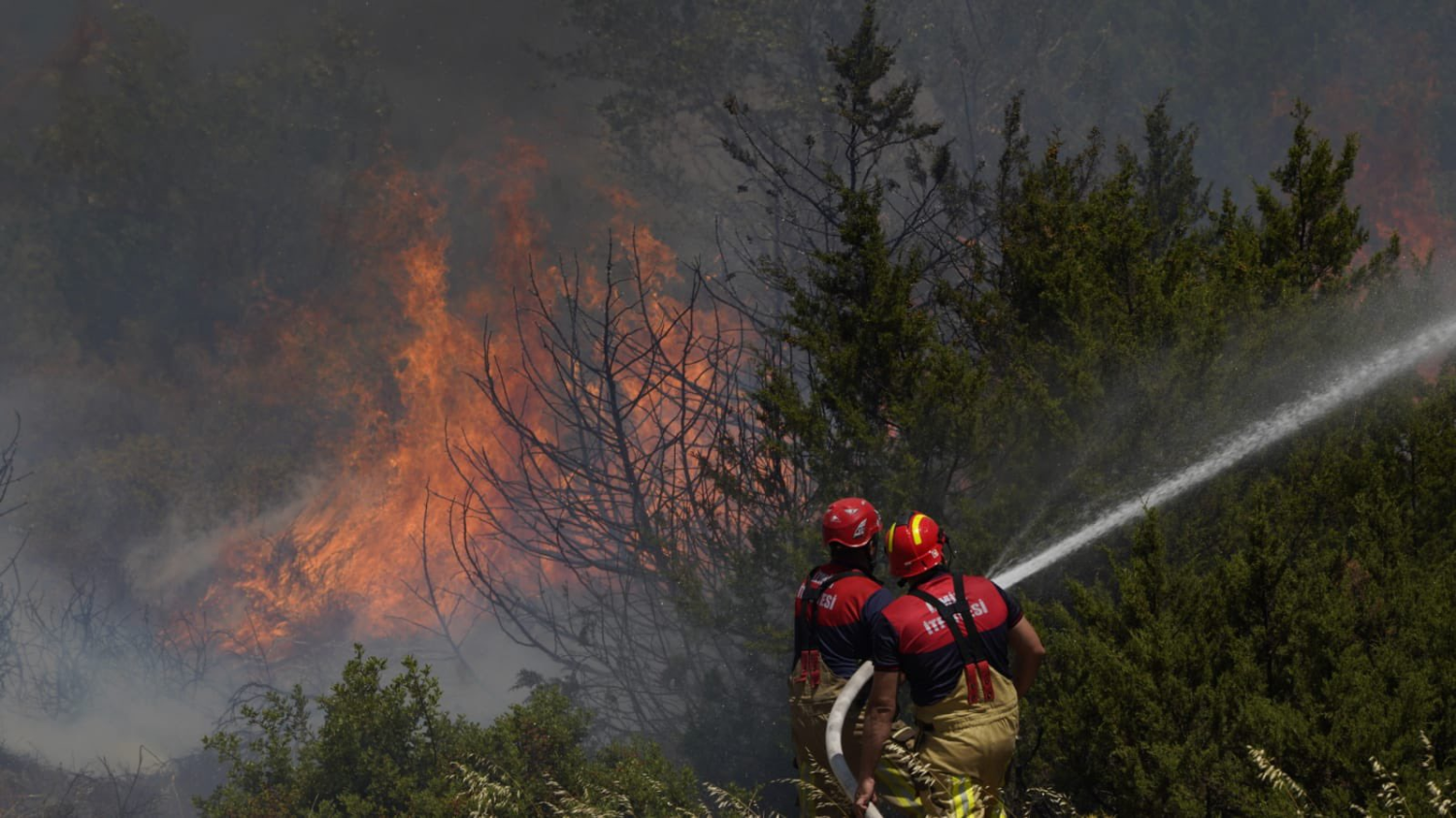 Yangında yaralanan bir orman işçisi daha şehit oldu